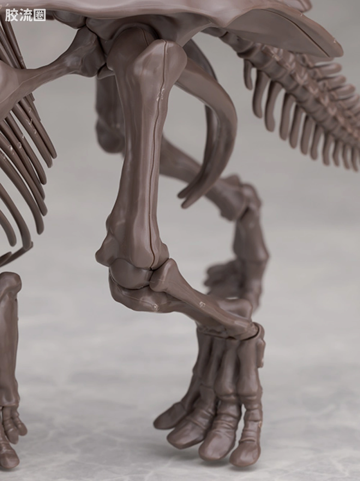 万代综合拼装模型系列 Imaginary Skeleton系列 三角龙 - 图片